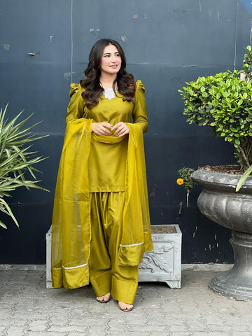 Farshi shalwar set rhinestone neck