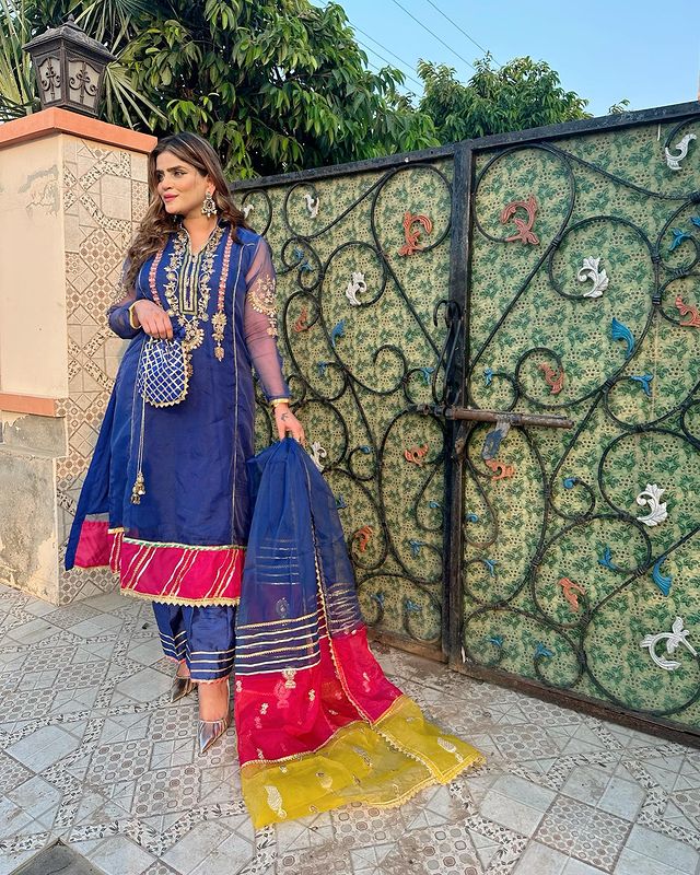 Organza Handwork Dress with Organza Multi Duppata(3pcs) SA-492