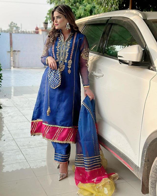 organza handwork Dress