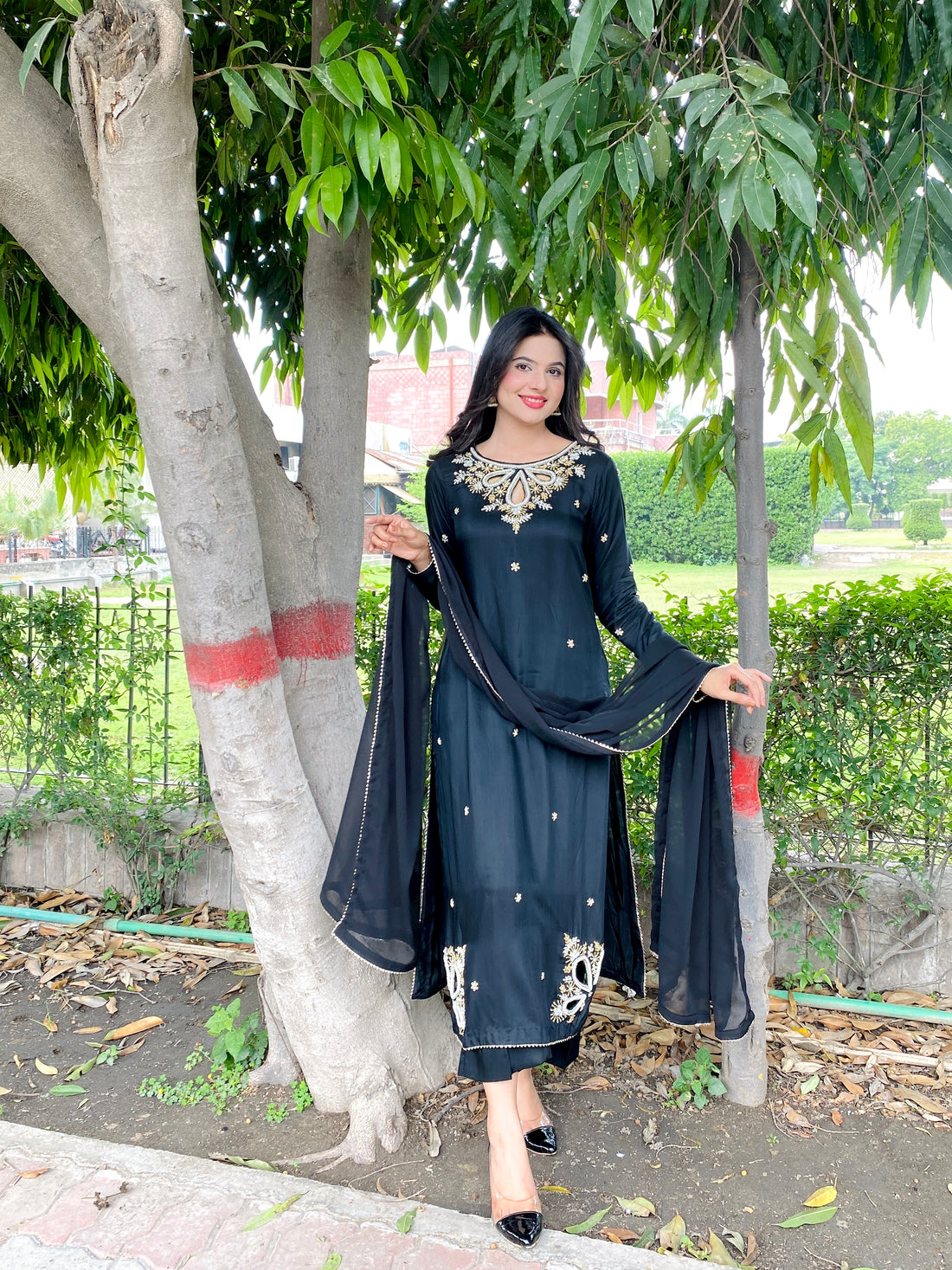 Dilruba 3pc Suit